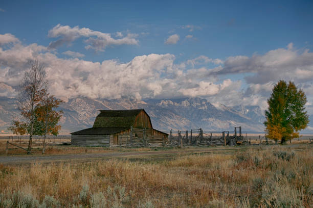 istock Fall comes to Mormon Row in the Tetons 656828964