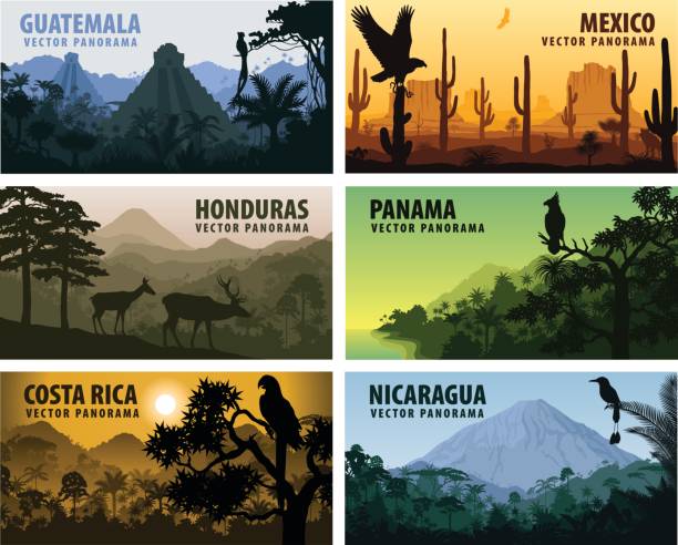 ilustrações, clipart, desenhos animados e ícones de vector conjunto de países panorams américa central - guatemala, méxico, honduras, nicarágua, panamá, costa rica - sonoran desert illustrations