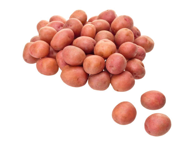 순수한 흰색 배경에 작은 빨간 순찰 - new potato raw potato freshness organic 뉴스 사진 이미지