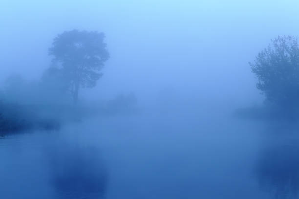 istock Misty morning in blue colors 656839378