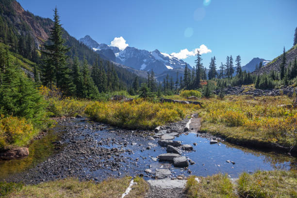 istock Crossing a stream on Lake Ann Trail near Mount Baker 656846546