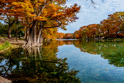Beautiful Bright Orange Fall Foliage Surrounding the Clear Frio River, Texas.