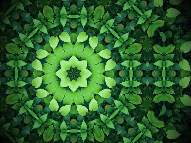 istock Abstract greenery background, heart shaped green leaves with kaleidoscope effect 656855550