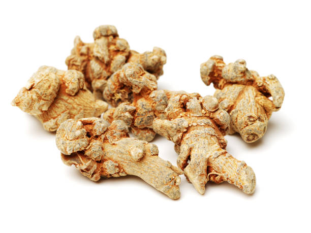 notoginseng, medicina tradizionale cinese (chinses angelica, angelica herb root) su sfondo bianco - angelica root root tip chinese culture foto e immagini stock