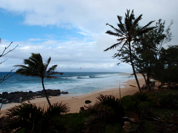 Stock image of Waikiki Beach, Honolulu, Oahu, Hawaii