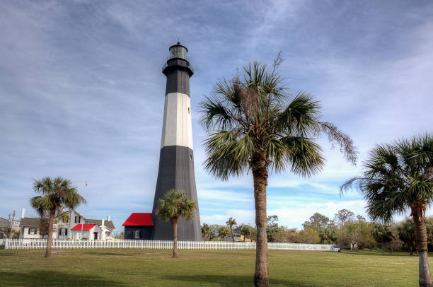 istock Landscape of Tybee Island 656862114