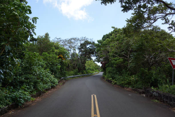 istock Tantalus mountain one lane bridge 656862134