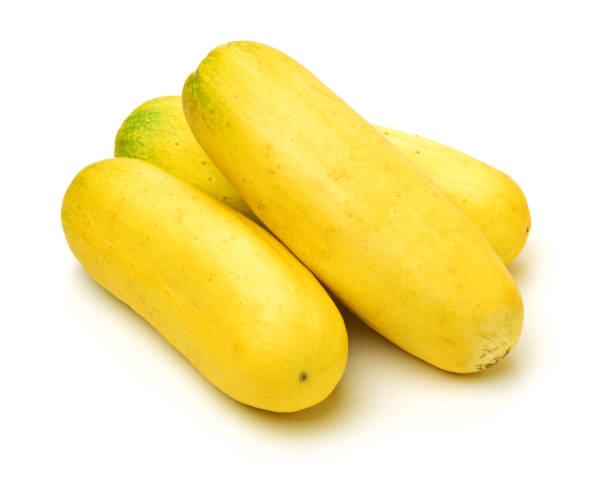 istock Old Chinese yellow cucumber, common ingredient for soup among Asians 656864906