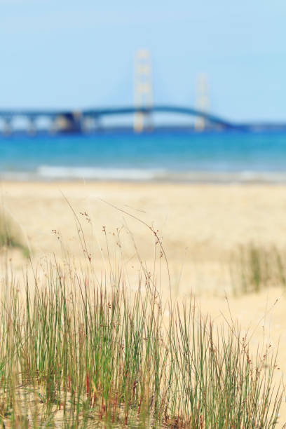 istock Sand dunes of Michigan 656867256