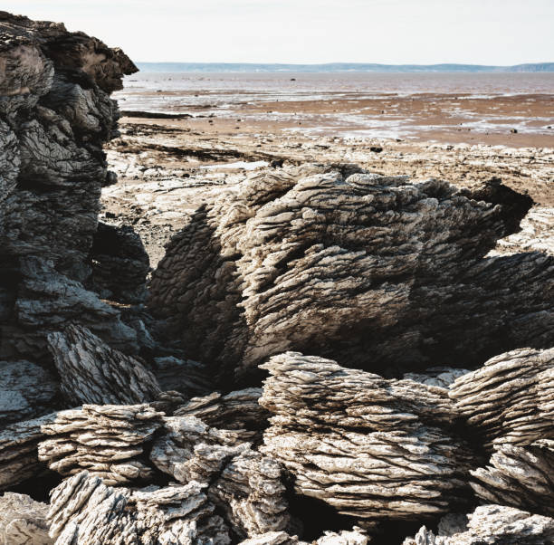 côtes de gypsum - tide energy water textured photos et images de collection