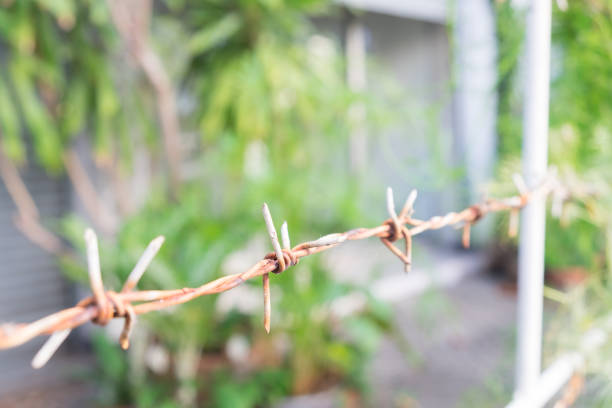 istock close up old, dirty and rusty barbed wire with blur garden background. 656870636