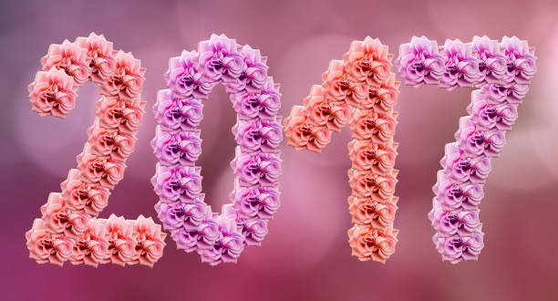 istock 2017 roses on a  blurred colored  background.  flower composition. Pink and purple roses. Nature. 656870966