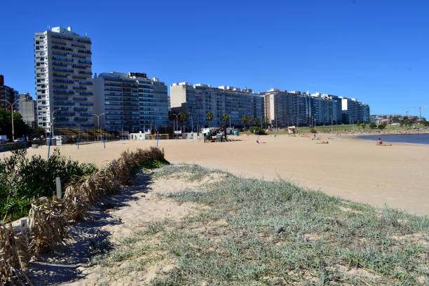 istock East of Pocitos Beach, Montevideo 656873360