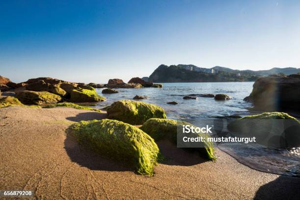 Moss On The Rock Stok Fotoğraflar & Alacakaranlık‘nin Daha Fazla Resimleri - Alacakaranlık, Bahar, Balıkçılık