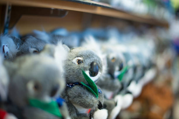 Koala bears for sale in an unidentified store