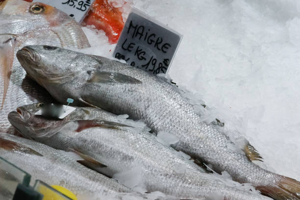 istock fresh fish on french market 656895892