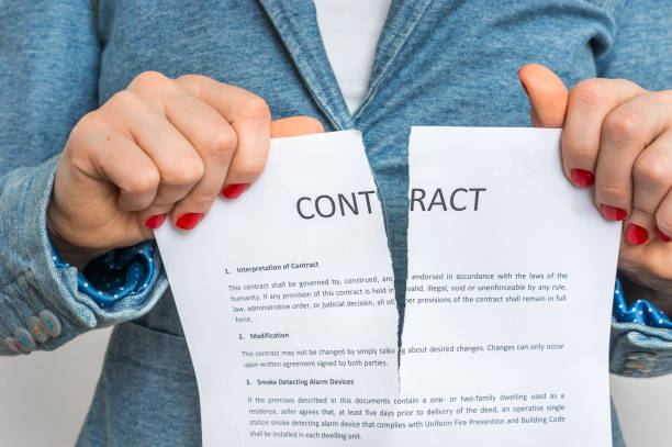 istock Business woman tearing contract 656922244