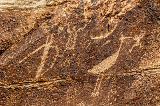 petroglifos en la roca del periódico, bosque petrificado, arizona - cave painting indigenous culture art arizona fotografías e imágenes de stock