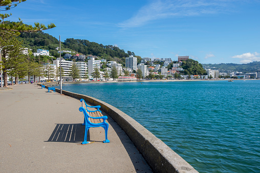 Wellington city in New Zealand on a sunny day showing the harbour waterfront at Oriental Bay. The high value apartments show the desirability of the area