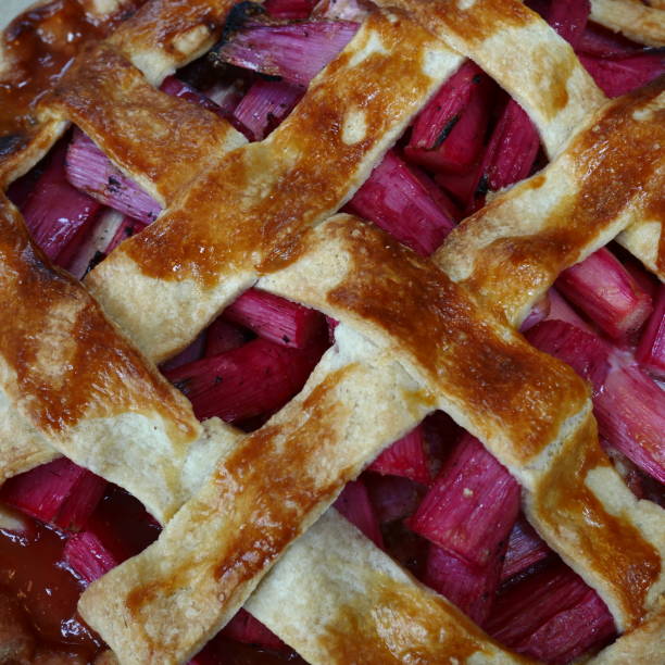 crostata di rabarbaro - lattuce foto e immagini stock