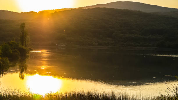 istock Lake in the forest in the morning sun 656935688