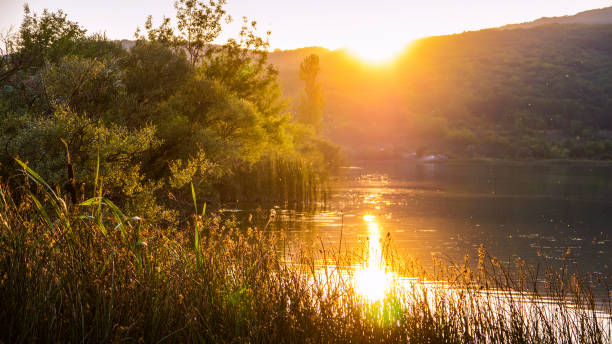 istock Old lake in theforest in the morning sun 656936020