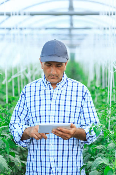 istock Farm worker using digital tablet in green house 656936824