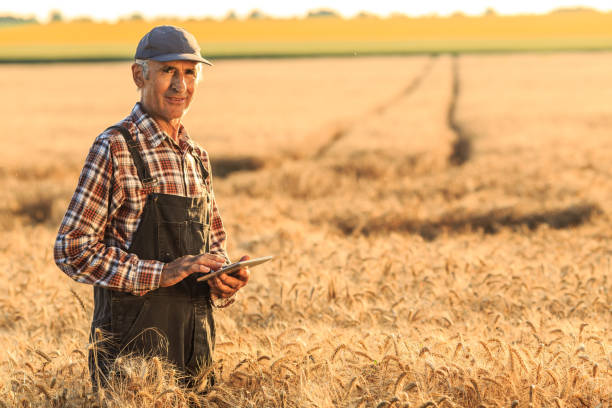 istock Farmer with digital tablet in wheat field 656936826