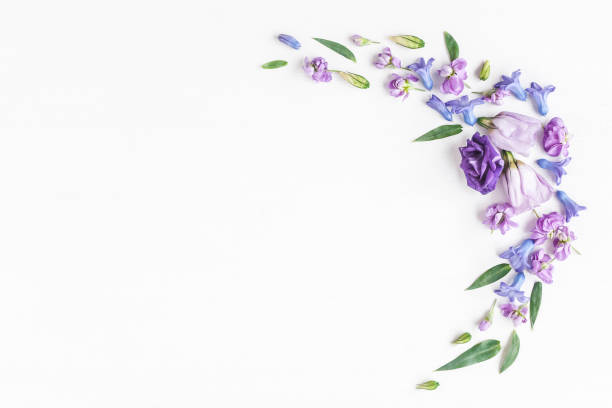 Frame made of various colorful flowers on white background