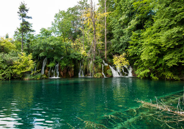 istock Plitvice Lakes National Park .Croatia 656958498