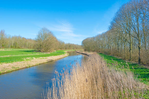 istock Canal through the countryside in spring 656961644