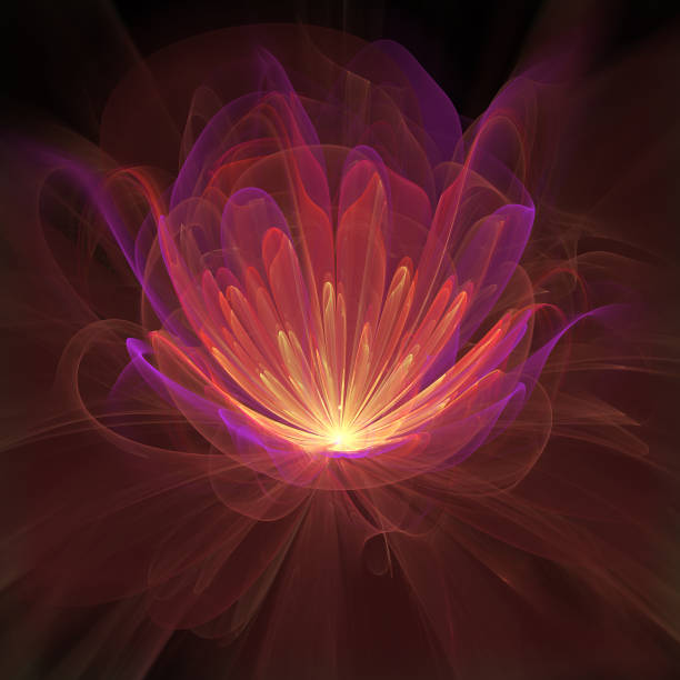 Flame Petals Abstract flame flower. fairy rose stock pictures, royalty-free photos & images