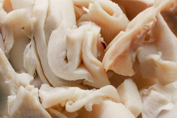 canned sliced squid as a background close-up