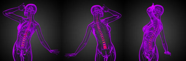 istock 3D rendering medical illustration of the spinal disc 656975058