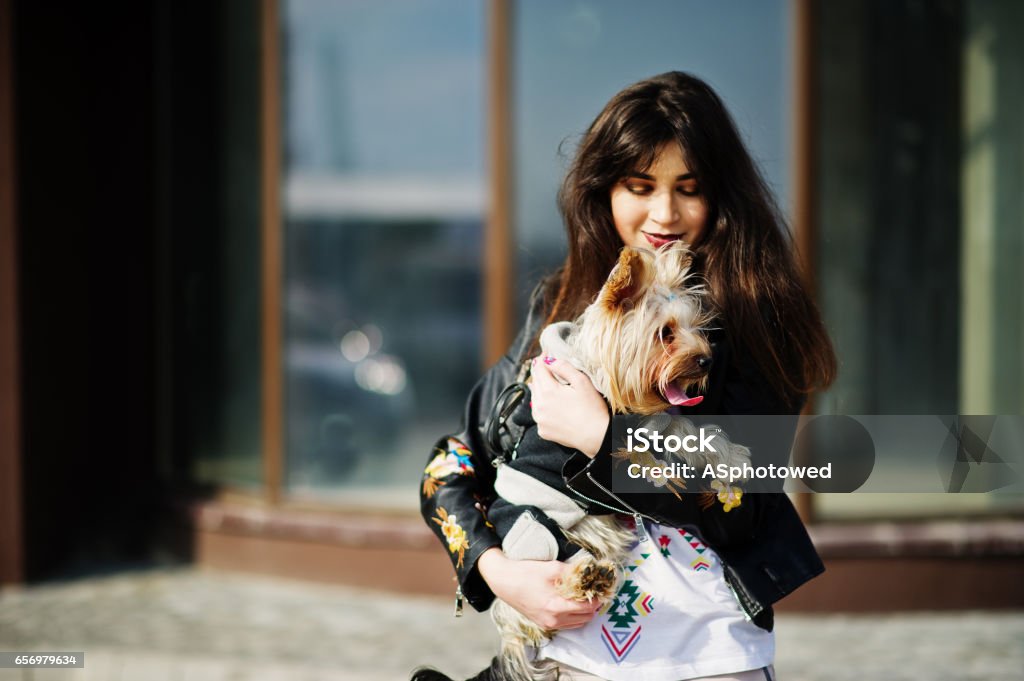 Yorkie Pants - Long Hair Yorkie Pants - Long Hair