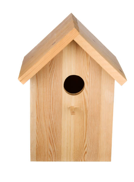 istock Little wood birdhouse 656980208