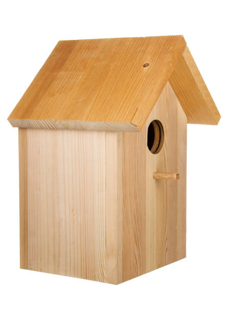 istock Little wood birdhouse 656980210
