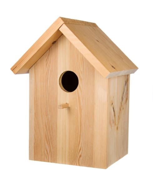 istock Little wood birdhouse 656980258