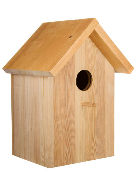 istock Decorative wooden bird house 656980262