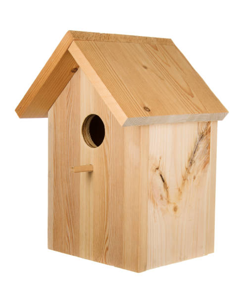 istock Little wood birdhouse 656980296