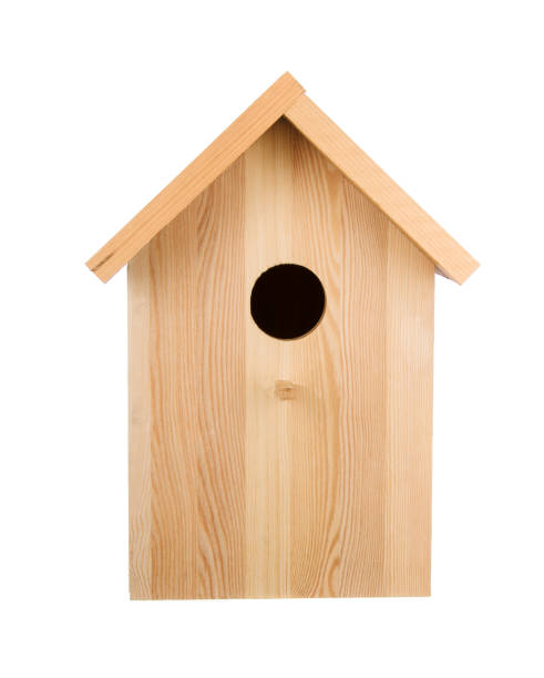 istock Little wood birdhouse 656983240