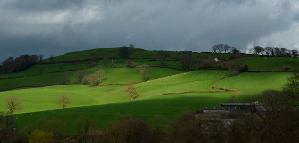 istock Farmland in Blackdown Hill 656986986