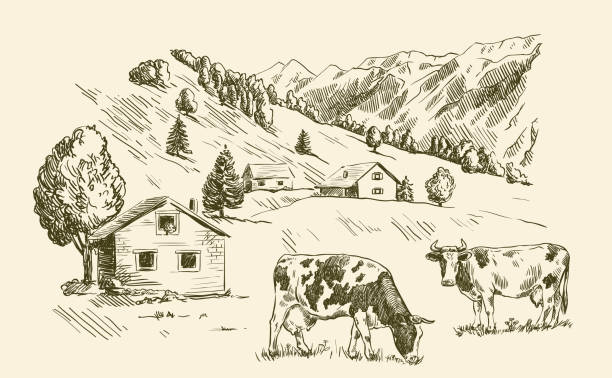 ilustraciones, imágenes clip art, dibujos animados e iconos de stock de casas de pueblo y las tierras de labrantío - dibujo-de-vaca