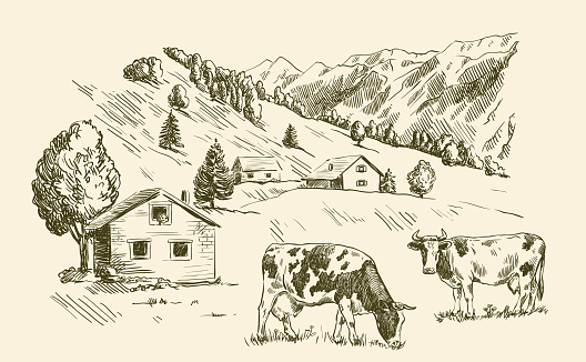 village houses and farmland. vector sketch drawn by hand on a grey background