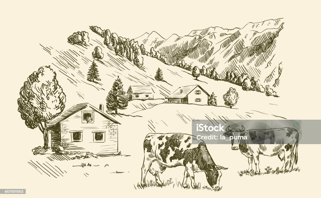 village houses and farmland village houses and farmland. vector sketch drawn by hand on a grey background Domestic Cattle stock vector