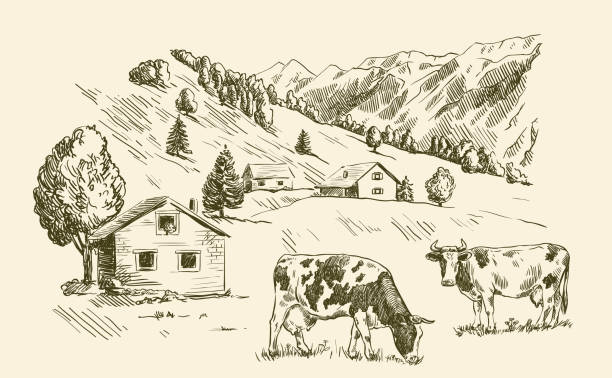 village houses and farmland village houses and farmland. vector sketch drawn by hand on a grey background cow illustrations stock illustrations