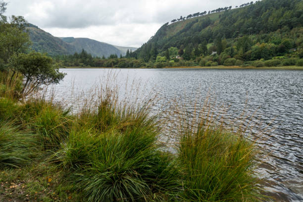 istock Lake scene at Glendalough Ireland 657019550