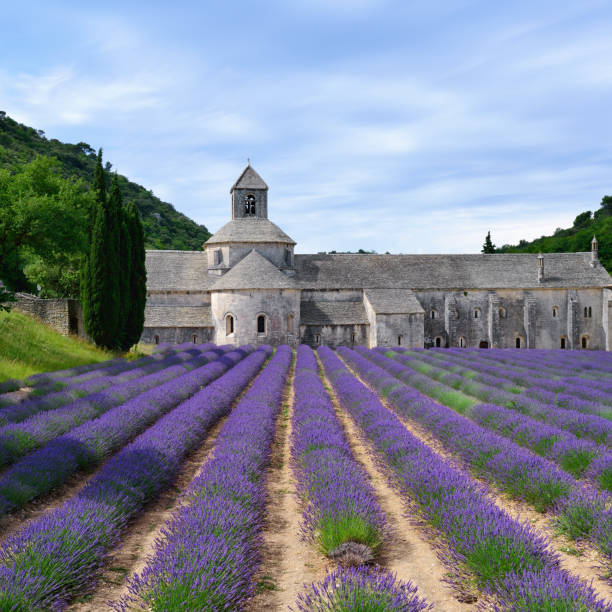 istock Abbey of Senanque 657024932