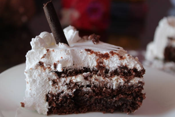 Chocolate cake with whipped cream stock photo