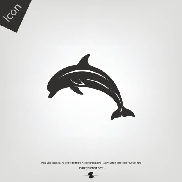 Dolphin vector icon Dolphin vector icon dolphin stock illustrations